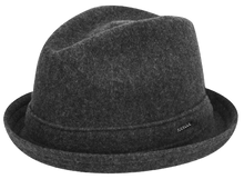 Load image into Gallery viewer, Wool Player