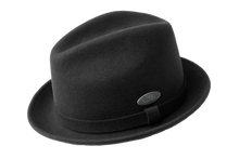 Load image into Gallery viewer, Litefelt Player