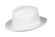 Load image into Gallery viewer, Capas Straw PC100
