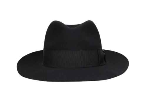 Borsalino Alessandria Felt Wide Brim – Shop Hats Galore & More
