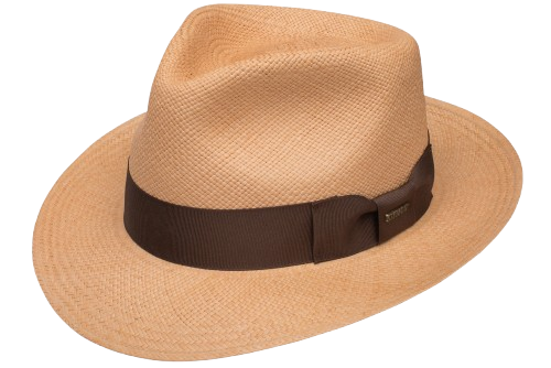Stetson Aficionado