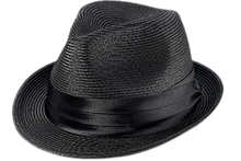 Load image into Gallery viewer, Broner Poly Braid Fedora
