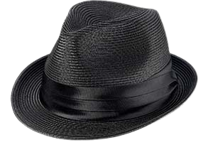 Broner Poly Braid Fedora