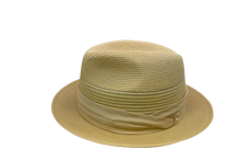 Load image into Gallery viewer, Capas Straw PC100
